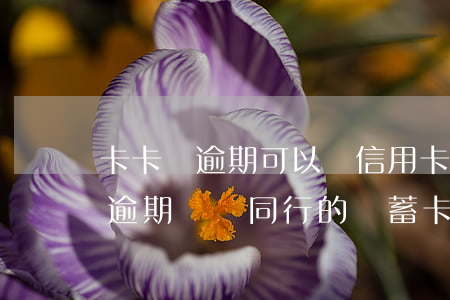 卡卡貸逾期可以從信用卡扣嗎(同行的信用卡逾期會從同行的儲蓄卡直接扣掉嗎)