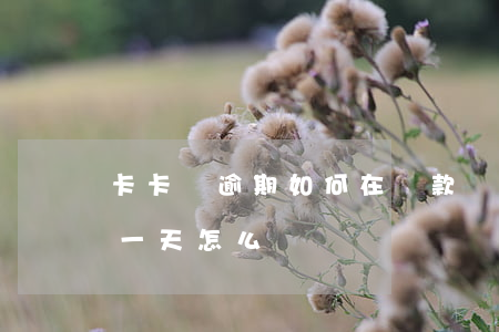 卡卡貸逾期如何在還款(銀行卡貸款還款逾期一天怎么辦)