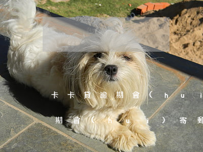 卡卡貸逾期會(huì)寄郵件嗎(卡卡貸逾期會(huì)寄郵件嗎)