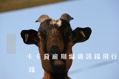 卡卡貸逾期爆通訊錄(飛行卡逾期多久爆通訊錄)