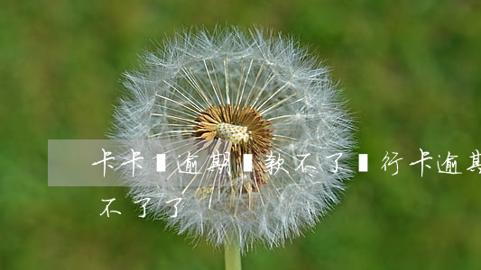 卡卡貸逾期還款不了(銀行卡逾期還款后卡用不了了)