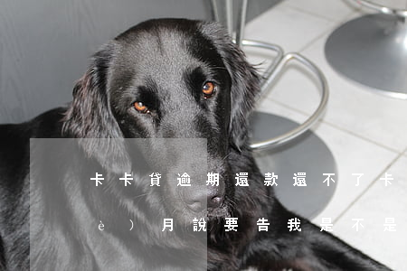 卡卡貸逾期還款還不了(卡卡貸逾期2個(gè)月說要告我是不是真的)