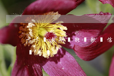 卡卡貸逾期還能貸款嗎(信用卡逾期還能貸款買房嗎)