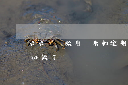 卡卡貸還款有錢未扣逾期(我的銀行卡被逾期扣款了)