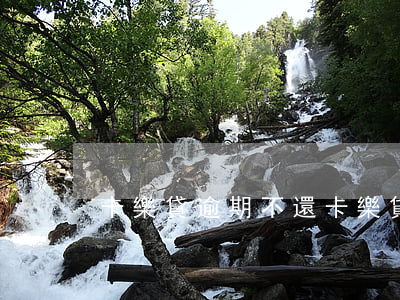 卡樂貸逾期不還(卡樂貸下載)
