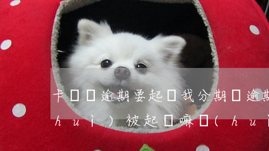 卡樂貸逾期要起訴我(分期樂逾期半年了會(huì)被起訴嘛會(huì)怎么樣)