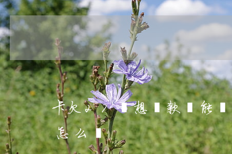卡欠27萬想貸款還能貸嗎(欠17萬信用卡怎么辦)