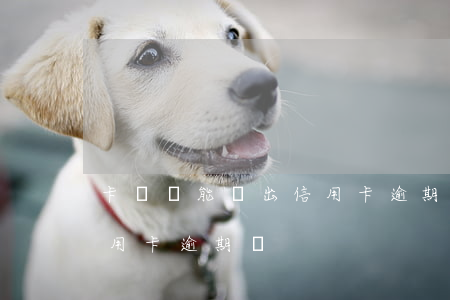 卡測評能測出信用卡逾期嗎(卡測評能測出信用卡逾期嗎)