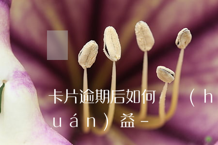 卡片逾期后如何維護(hù)自己的權(quán)益-