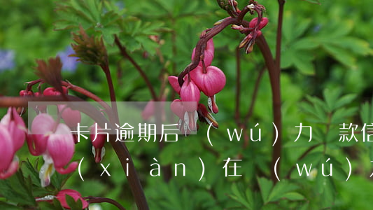 卡片逾期后無(wú)力還款(信用卡逾期,現(xiàn)在無(wú)力償還,我該怎么辦)