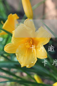 卡片逾期后要結(jié)清如何申請減免-卡片逾期怎么協(xié)商還款