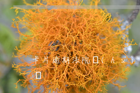 卡片逾期法院會(huì)執(zhí)行嗎