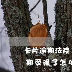 卡片逾期法院會不會執(zhí)行(卡片逾期受限了怎么辦)