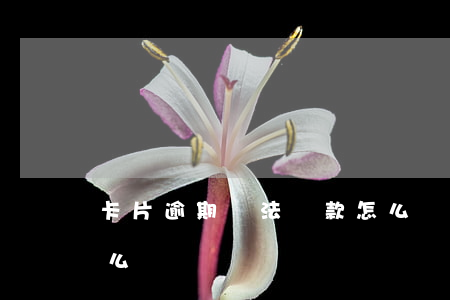 卡片逾期無法還款怎么辦(卡片逾期受限了怎么辦)