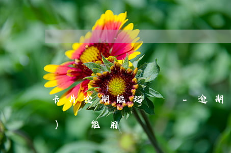 卡片逾期能起訴嗎-逾期卡片凍結(jié)還能用嗎