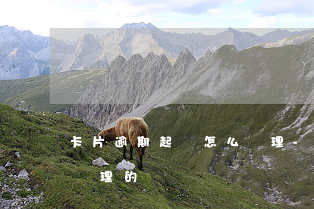 卡片逾期起訴怎么處理-卡片逾期起訴怎么處理的
