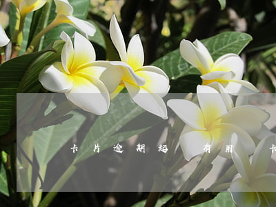 卡片逾期起訴有用嗎(卡片逾期起訴有用嗎)