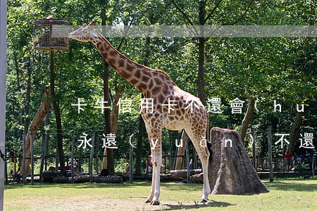 卡牛信用卡不還會(huì)怎么樣(信用卡永遠(yuǎn)不還會(huì)怎樣)