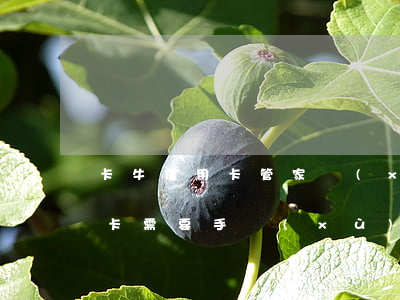 卡牛信用卡管家協(xié)商 卡牛還信用卡需要手續(xù)費嗎