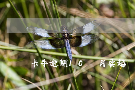 卡牛逾期10個月要起訴書 卡牛逾期一年上門嗎
