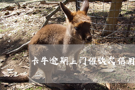 卡牛逾期上门催收(欠信用卡催收天天上门)