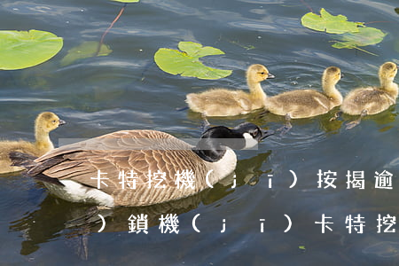 卡特挖機(jī)按揭逾期多久會(huì)鎖機(jī)(卡特挖機(jī)按揭逾期多久會(huì)鎖機(jī))