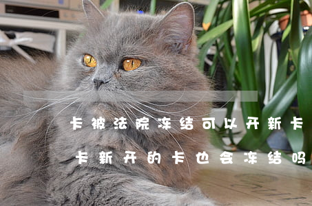 卡被法院冻结可以开新卡吗(法院冻结了银行卡新开的卡也会冻结吗)