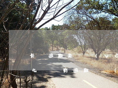 卡車逾期未檢驗(yàn)影響駕駛證換證么 車輛有逾期檢驗(yàn)可以換駕駛證嗎