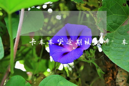 卡车车贷逾期被起诉-车贷逾期被诉讼