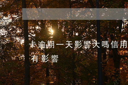 卡逾期一天影響大嗎（信用卡逾期一天會不會有影響）