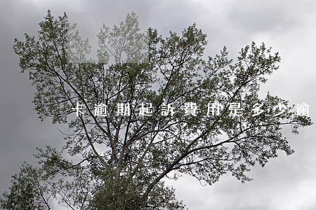 卡逾期起訴費用是多少 逾期訴訟費多少錢