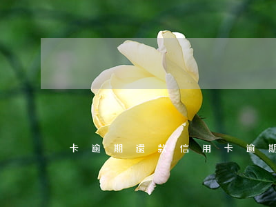 卡逾期還款，信用卡逾期還款
