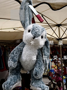 卡逾期還款受限制后多久自動解除-卡逾期還款受限制后多久自動解除了