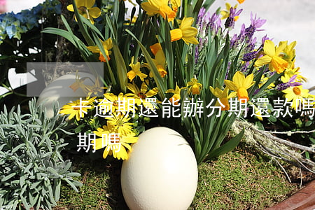 卡逾期還能辦分期還款嗎(逾期了還可以辦分期嗎)