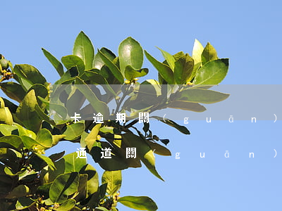 卡逾期關(guān)閉還款渠道(逾期還款通道關(guān)閉)