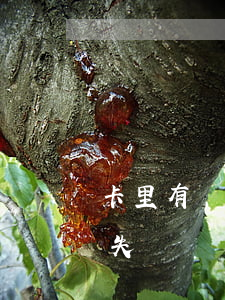 卡里有錢扣不上算逾期(卡里有錢為什么扣款失敗)