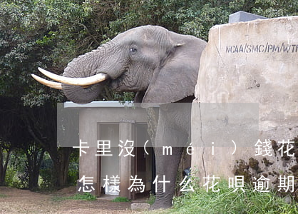 卡里沒(méi)錢花唄逾期會(huì)怎樣(為什么花唄逾期已經(jīng)還了,但是用不了花唄)