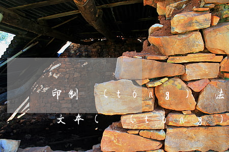 印制統(tǒng)計法律法規(guī)文本(統(tǒng)計法律法規(guī)有那些)