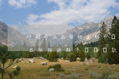 印刷非法出版物逾期不繳納罰款-印刷非法出版物逾期不繳納罰款會怎么樣
