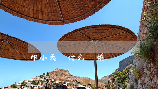 印小天為什么離婚