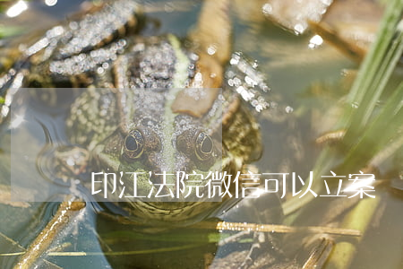 印江法院微信可以立案嗎(印江縣法院)