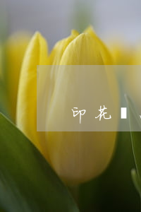 印花稅怎么計算(印花稅怎么計算出來的)