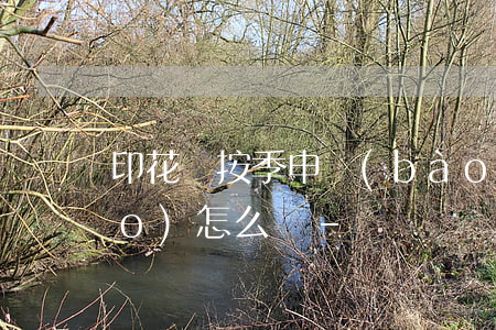 印花稅按季申報(bào)逾期申報(bào)怎么辦-