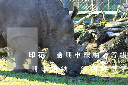 印花稅逾期申報納稅等級降低了-印花稅逾期申報納稅等級降低了怎么辦