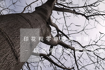 印花稅零申報逾期補(bǔ)申報怎么填寫-印花稅零申報逾期申報怎么辦
