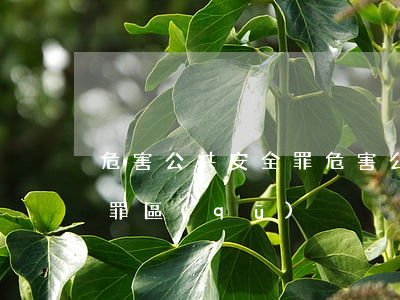危害公共安全罪(危害公共安全罪和交通肇事罪區(qū)別)