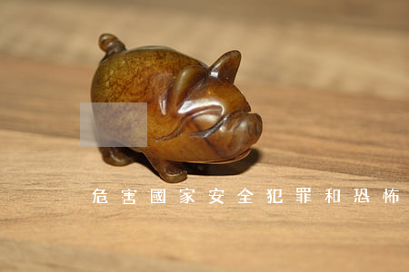 危害國家安全犯罪和恐怖活動犯罪有哪些