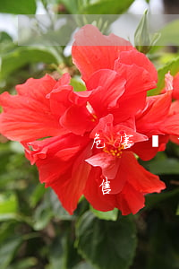 危害難以想象！5月1日起，禁止向未成年人出售！
