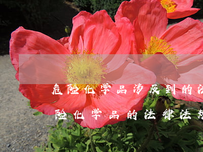 危险化学品涉及到的法律法规(我国关于危险化学品的法律法规有哪四个)