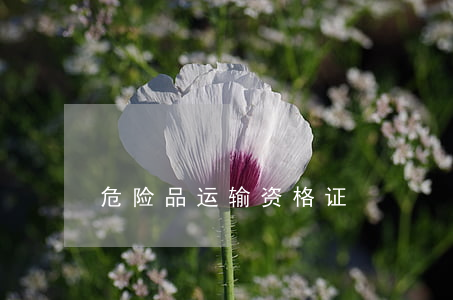 危险品运输资格证